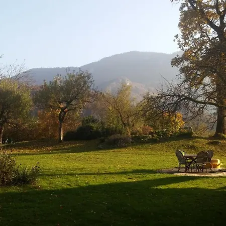 Spacious Apartma Bled