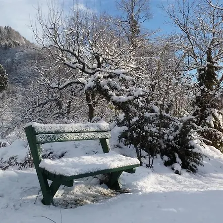 Spacious Apartma Bled