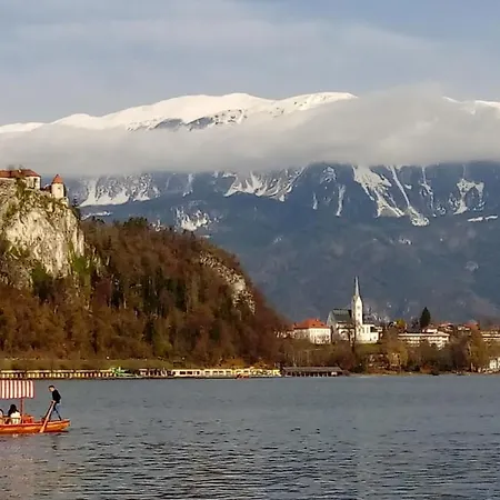 Spacious Lägenhet *